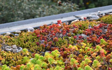 the cost of Kirkbean green roof installation