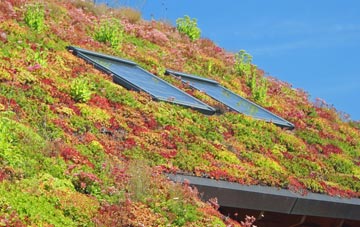 Kirkbean living roof systems